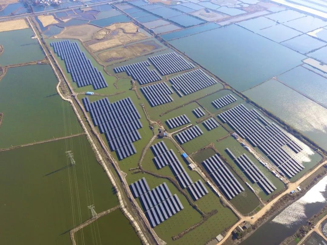 A Fishery-solar Masterpiece in the Watery Town - www.bwin.com's 110 MW PV Project in Tongling, Anhui Province Successfully Connected to the Grid for Power Generation